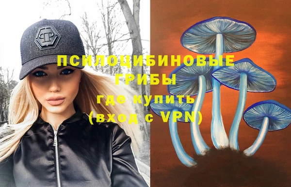 соль ск Козловка