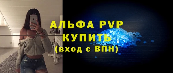 мдпв Козельск