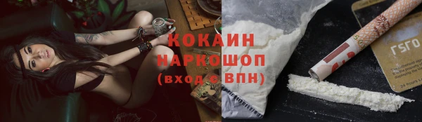 соль ск Козловка