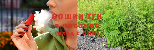соль ск Козловка