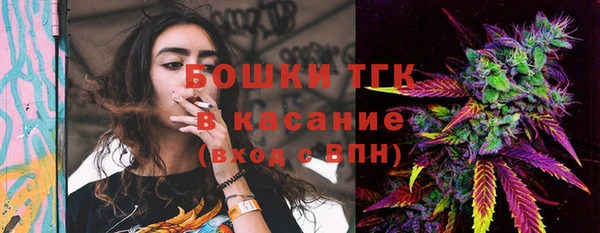 мдпв Козельск
