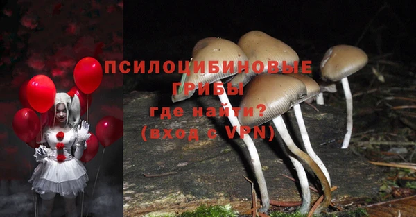 твердый Киреевск