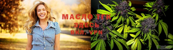 мдпв Козельск