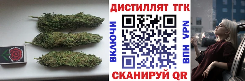 Купить Боготол Дистиллят ТГК THC oil