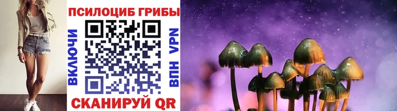 Галлюциногенные грибы MAGIC MUSHROOMS  Купить где  Боготол 